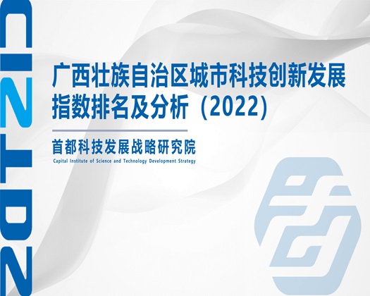 骚逼操我啊啊啊视频【成果发布】广西壮族自治区城市科技创新发展指数排名及分析（2022）